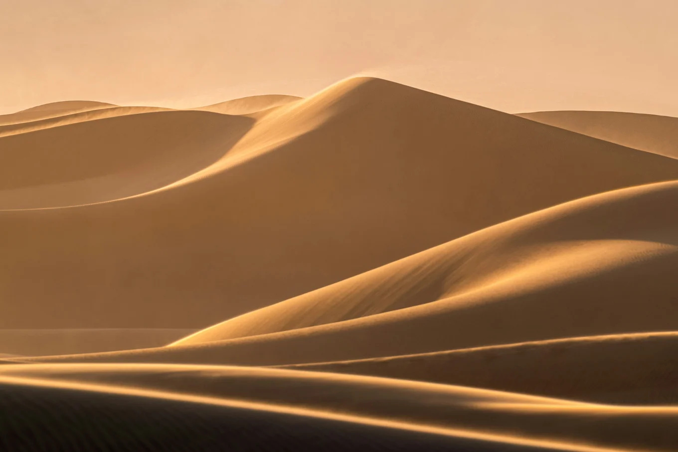 Smooth sand dunes under soft light.