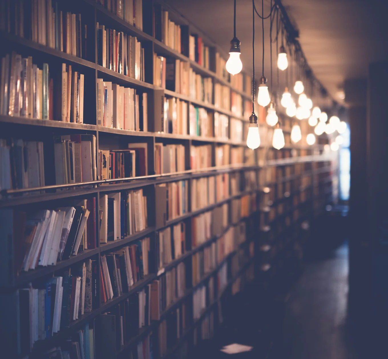 Bookshelves, hanging light bulbs.