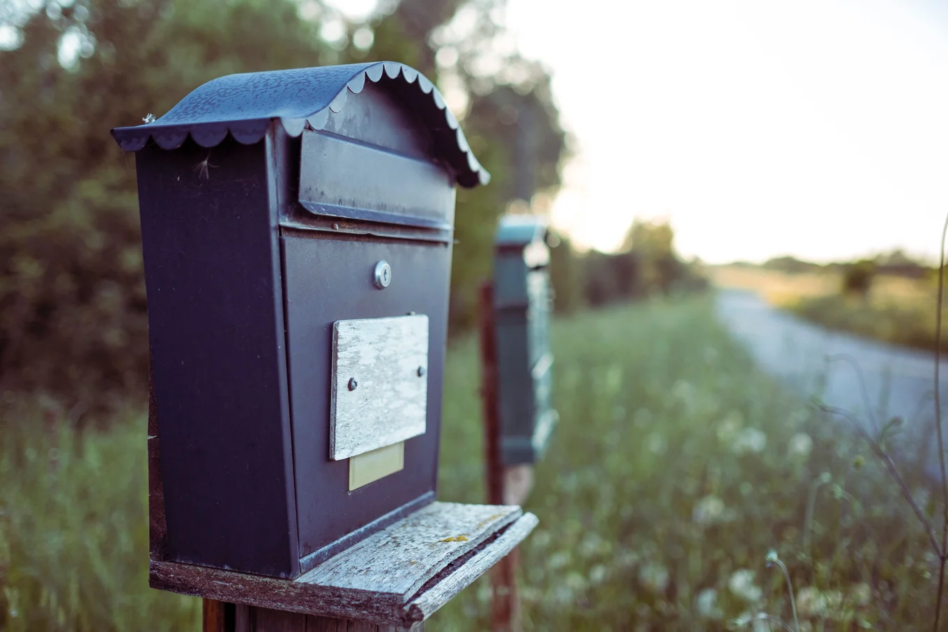 Black mailbox in grassy roadside, blurred background.