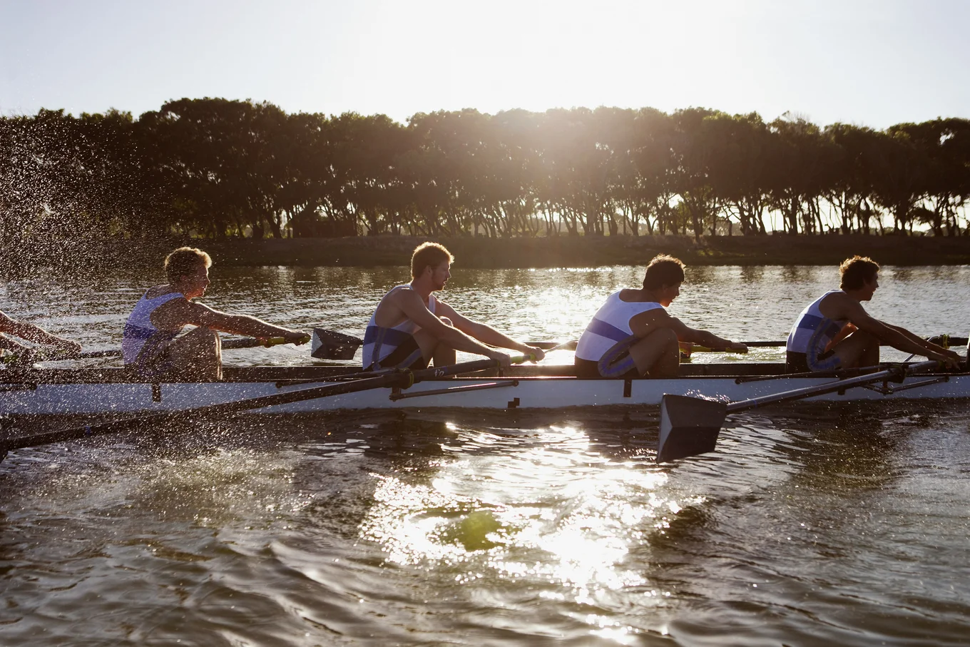 Four people rowing on a river, trees in background.